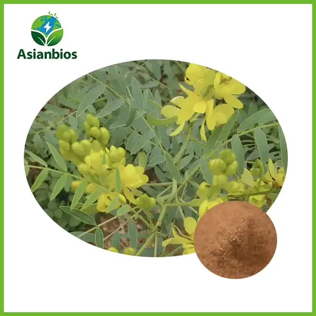 Senna Extract Powder